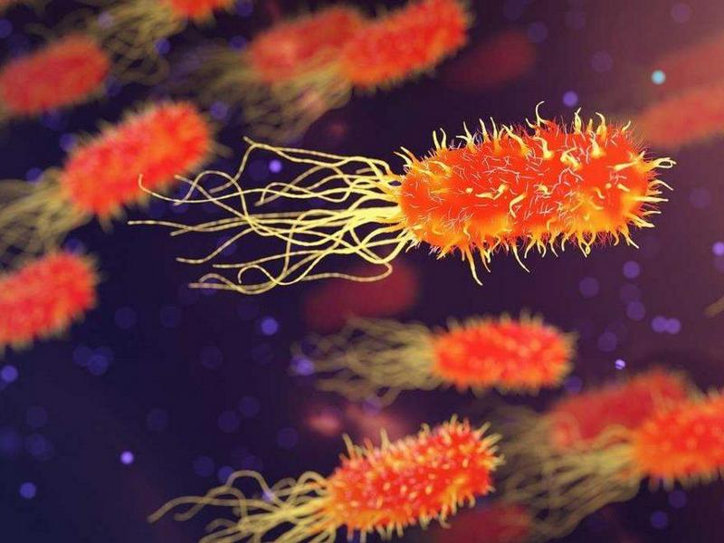 Алтернативно за хеликобактер пилори (Helicobacter pylori)