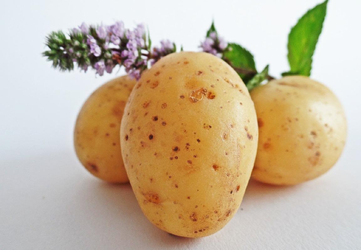 Компреси от картофи при болки в кръста