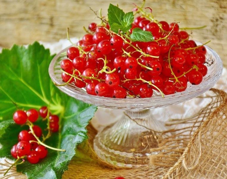 Рецепти и полезни съвети при запек