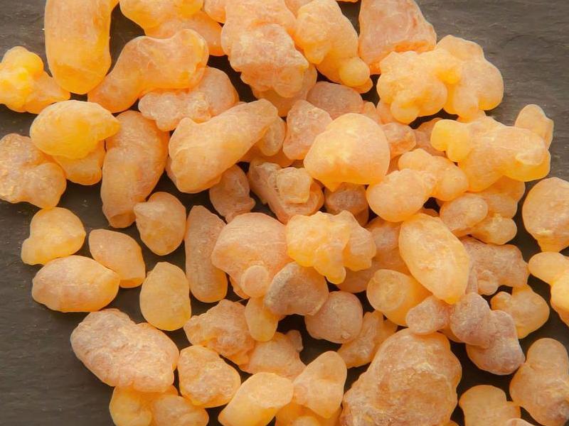 Босвелия (Boswellia)