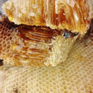 Пчелни продукти