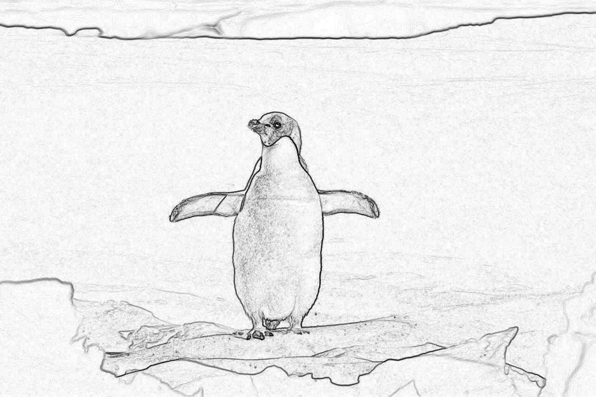 Съновник - пингвини